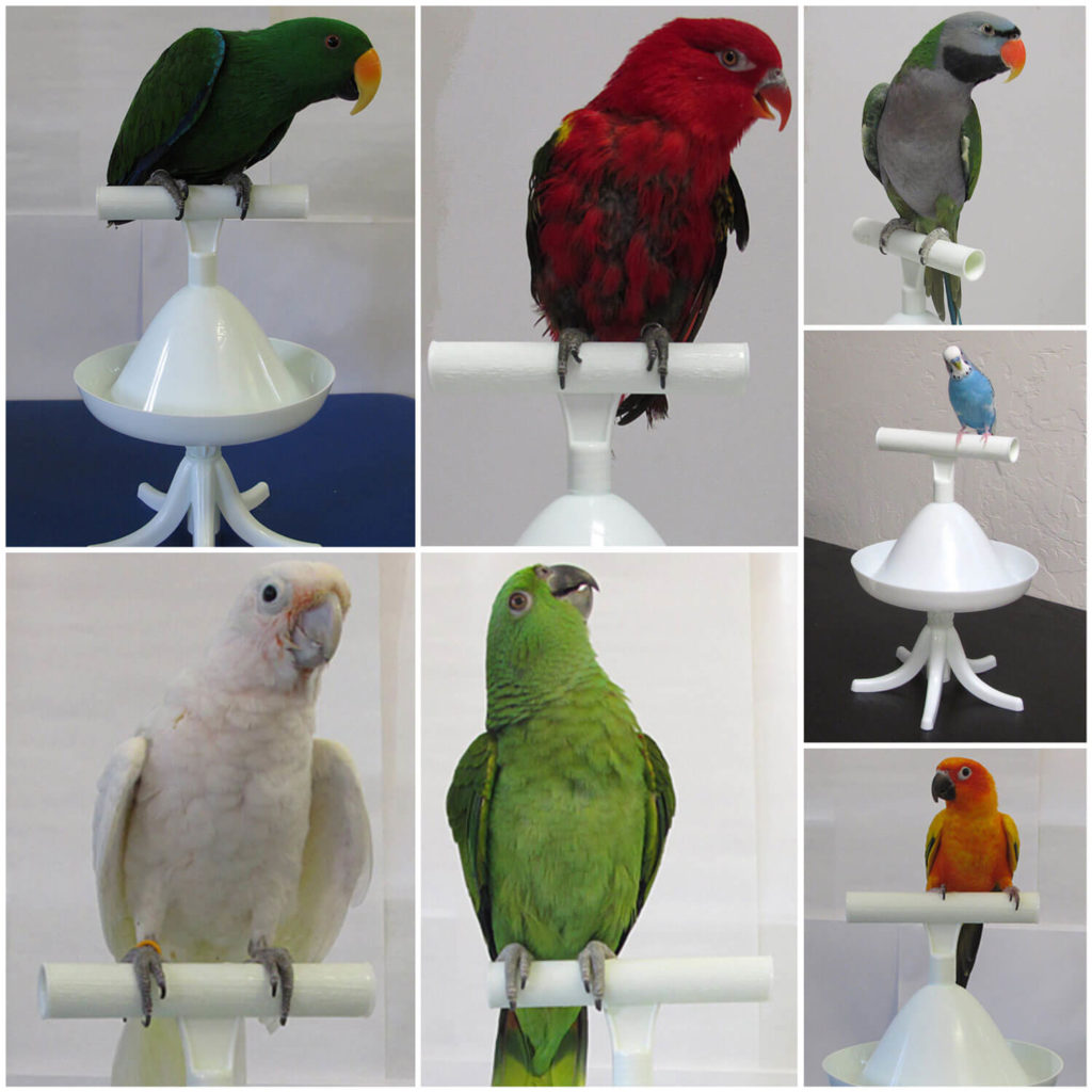 Free-Standing Percher® Bird Perch