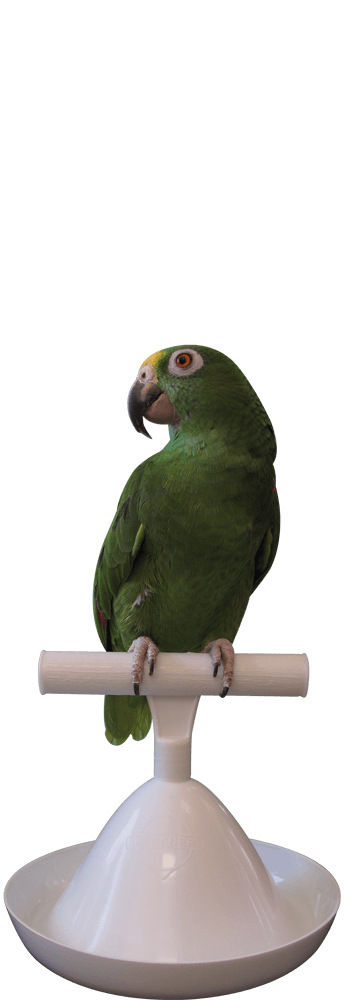 Percher® Bird Perch_Cone Perch