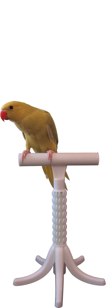 Percher® Bird Perch_Free Standing Perch