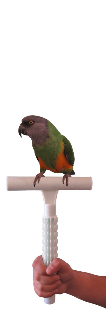 Percher® Bird Perch_Hand Held T-Perch