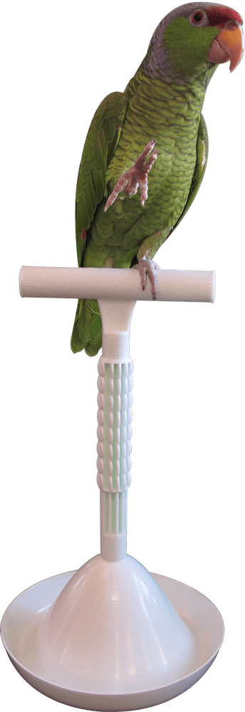 Percher® Bird Perch_Tall Perch