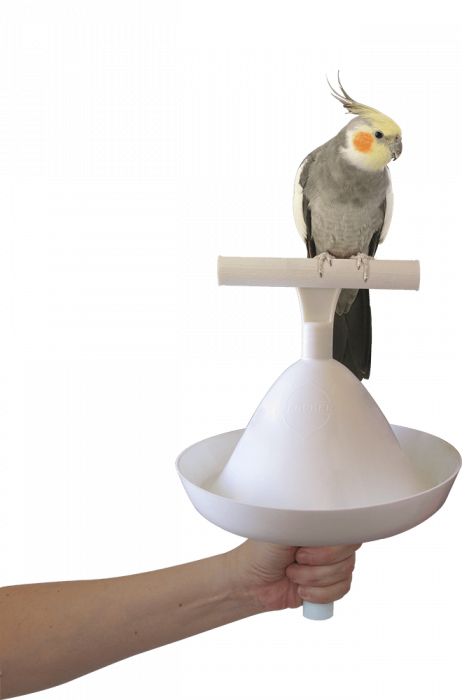 Percher® Bird Perch_Hand Held Percher